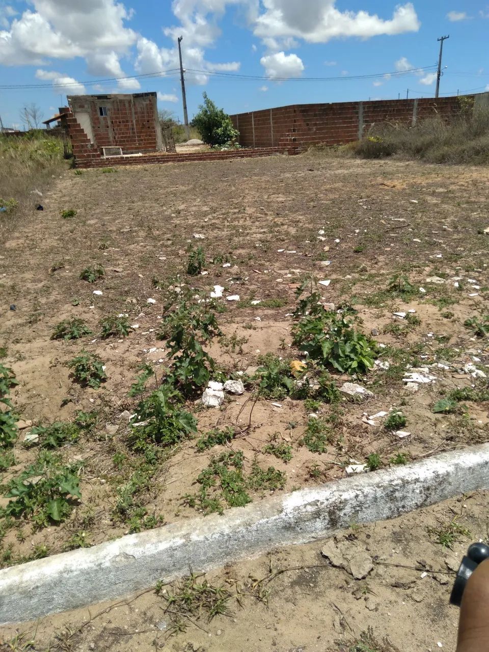 Terreno no bosque das colinas