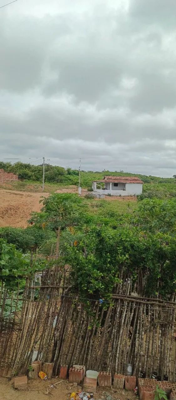 Casa  - Foto 4
