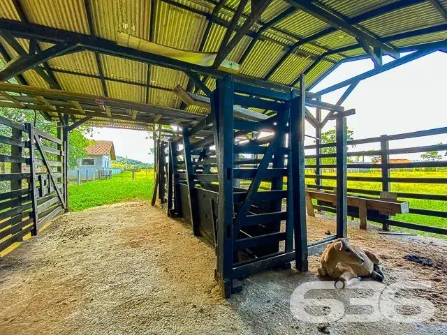 Chacará | Joinville | Rio Bonito - Foto 5
