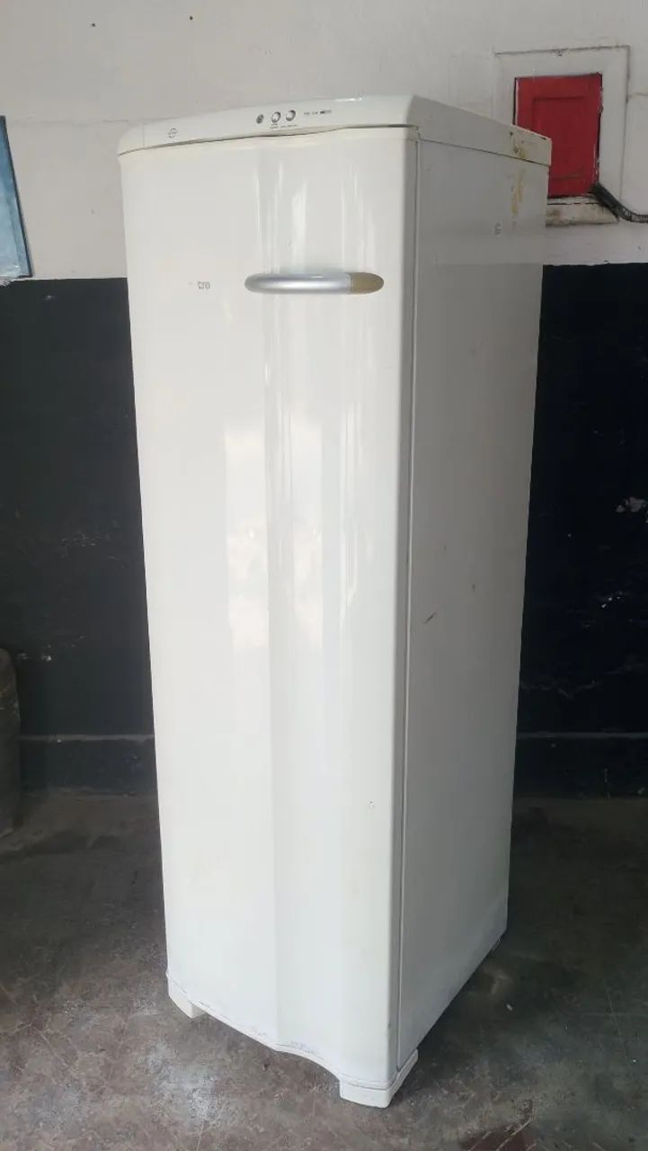 Freezer Electrolux RE26