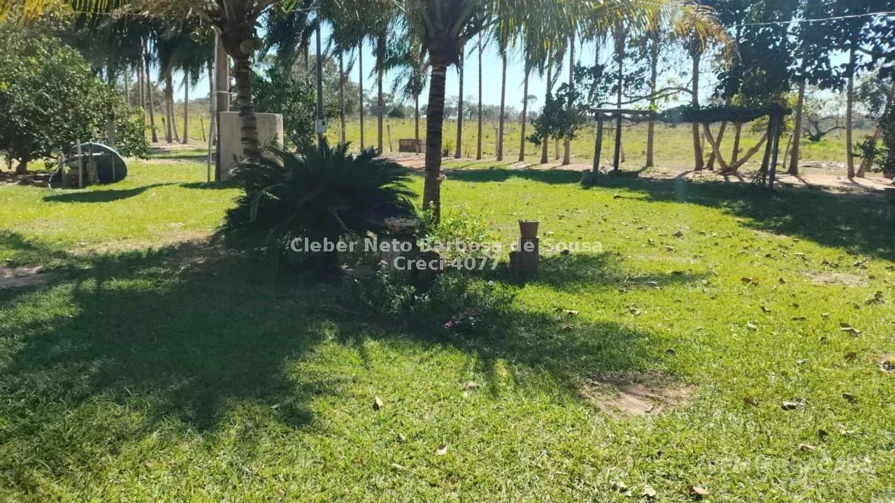 VENDO CHÁCARA EM ROCHEDO COM 25,5 HECTARES - Foto 4