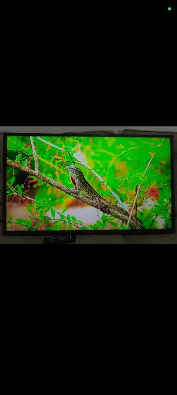 Tv Smart LG 43 Polegadas Completa Top de Verdade! - Foto 4