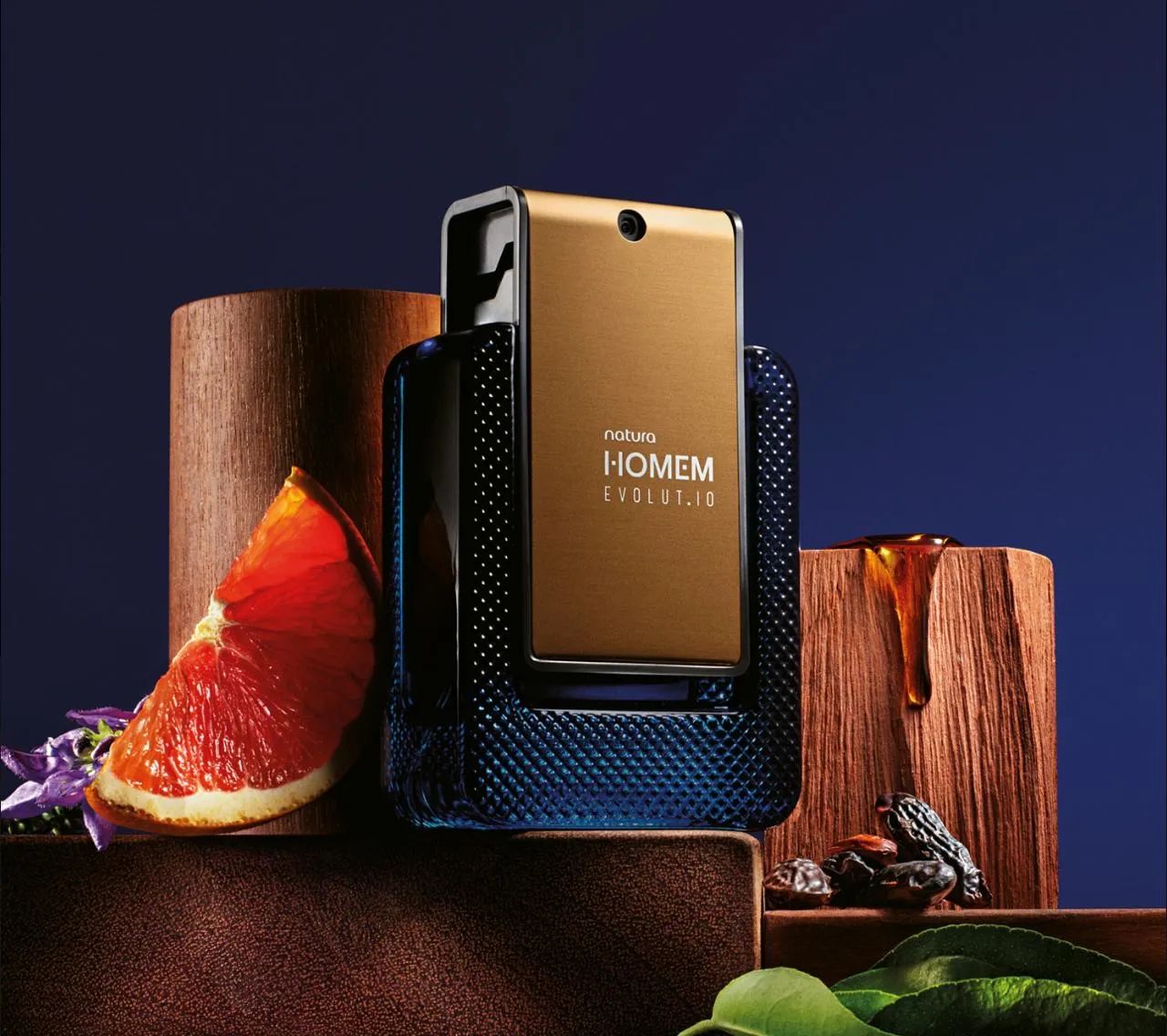 Natura Homem Evolutio