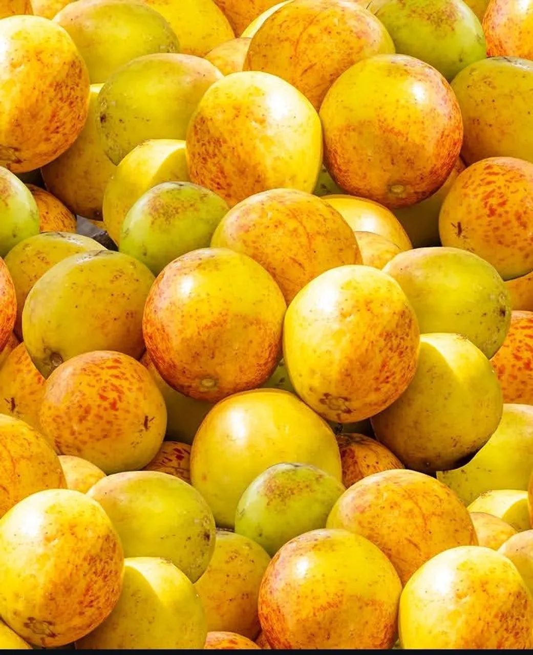 Mangaba e polpas de mangaba 