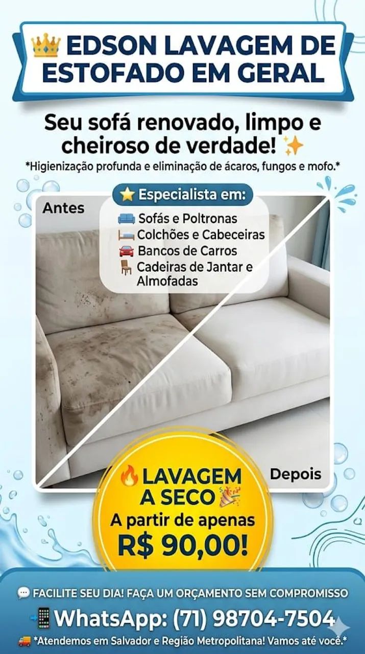 LAVAGEM A SECO