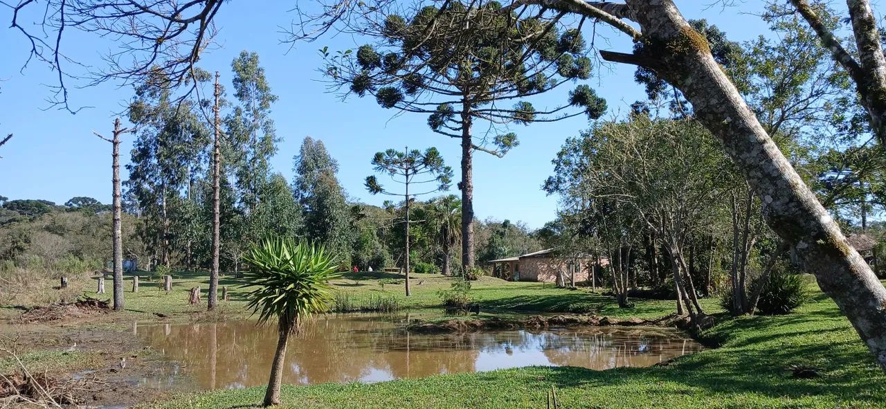 Chácara em Quitandinha  - Foto 2