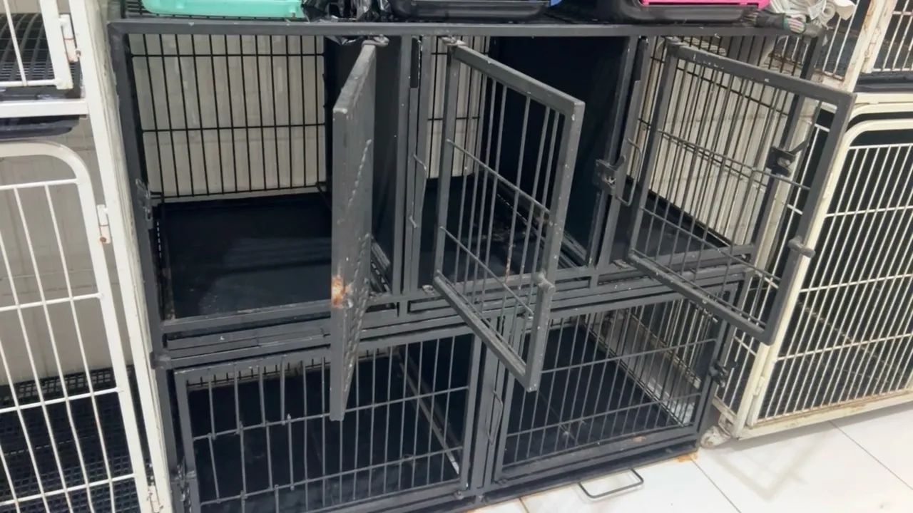 Gaiola pet Shop - Foto 2