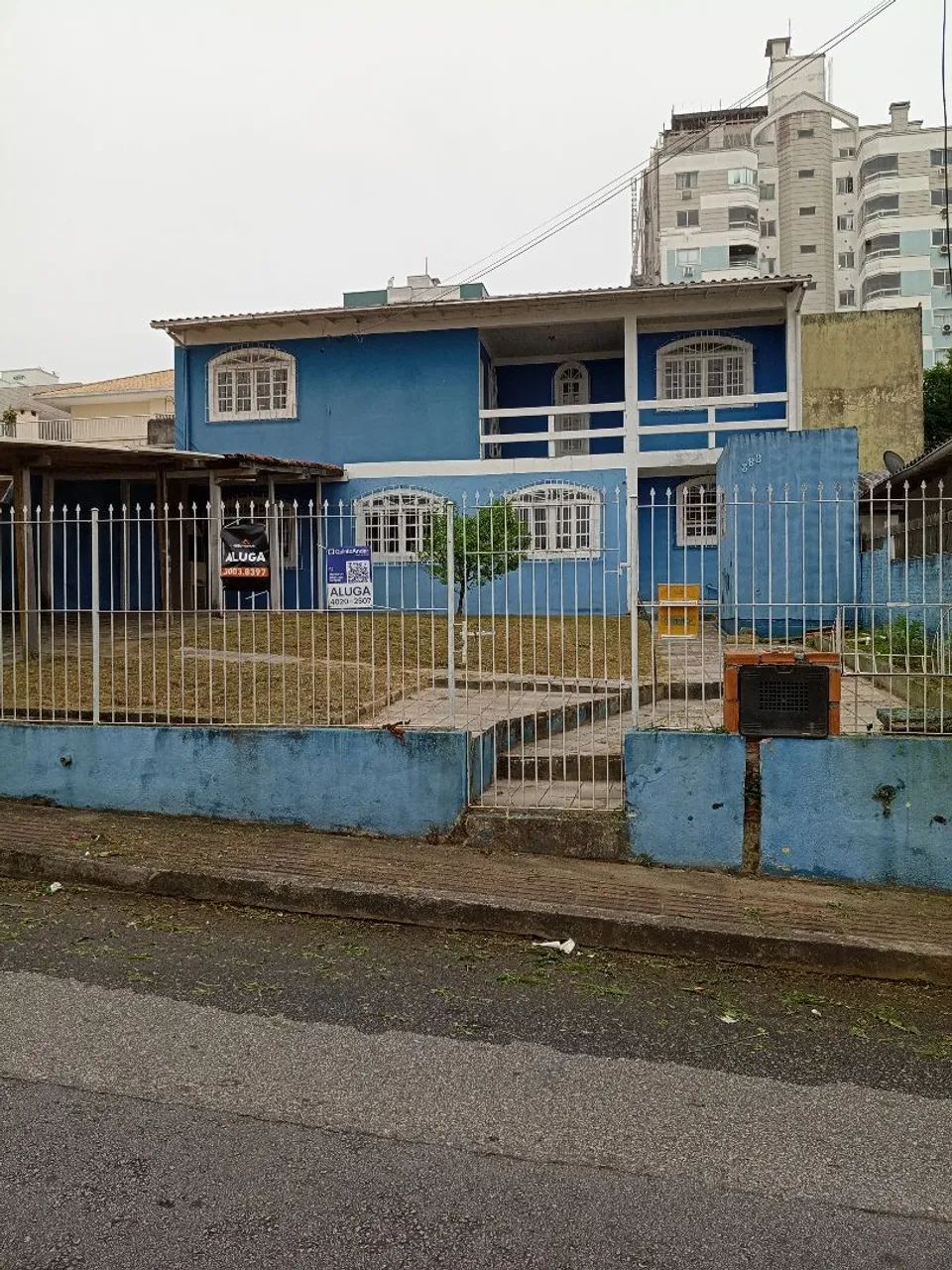 Jardinagem poda e descarte de árvores  - Foto 2
