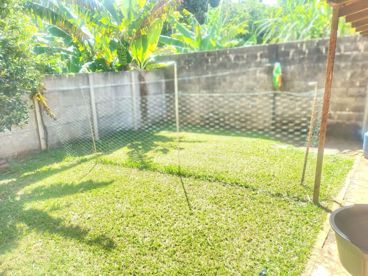 Foto - Brodowski - Brodowski