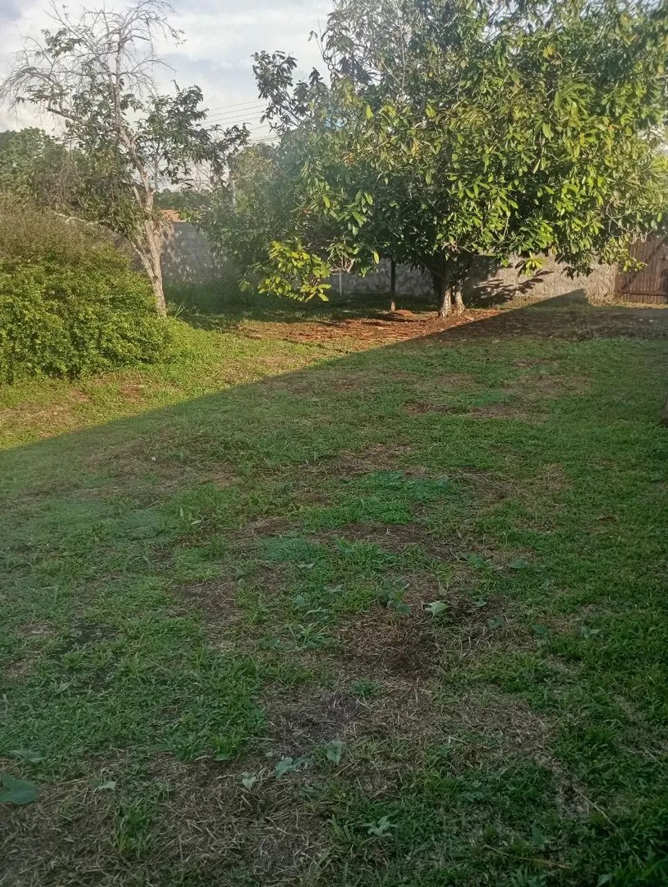 terra, terreno centro