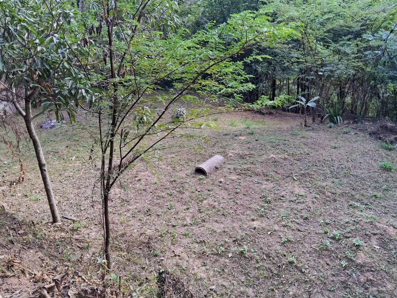 Melhor lote de Honório Bicalho  - Foto 3