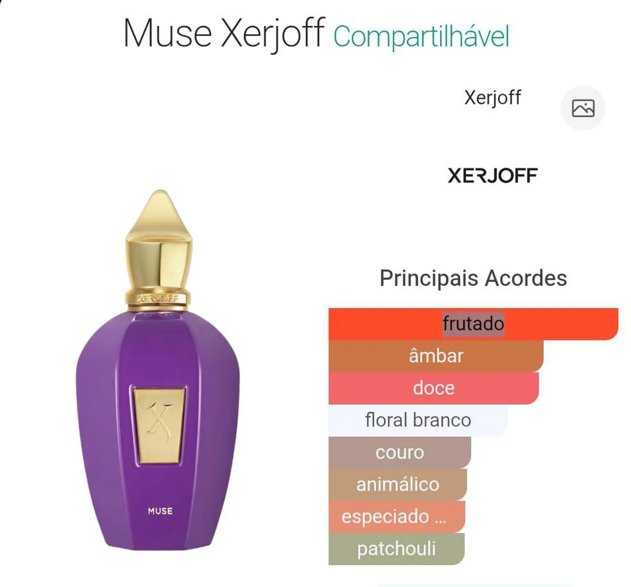 Perfume Xerjoff Muse 100ml Parfum TST promoção, - Foto 3