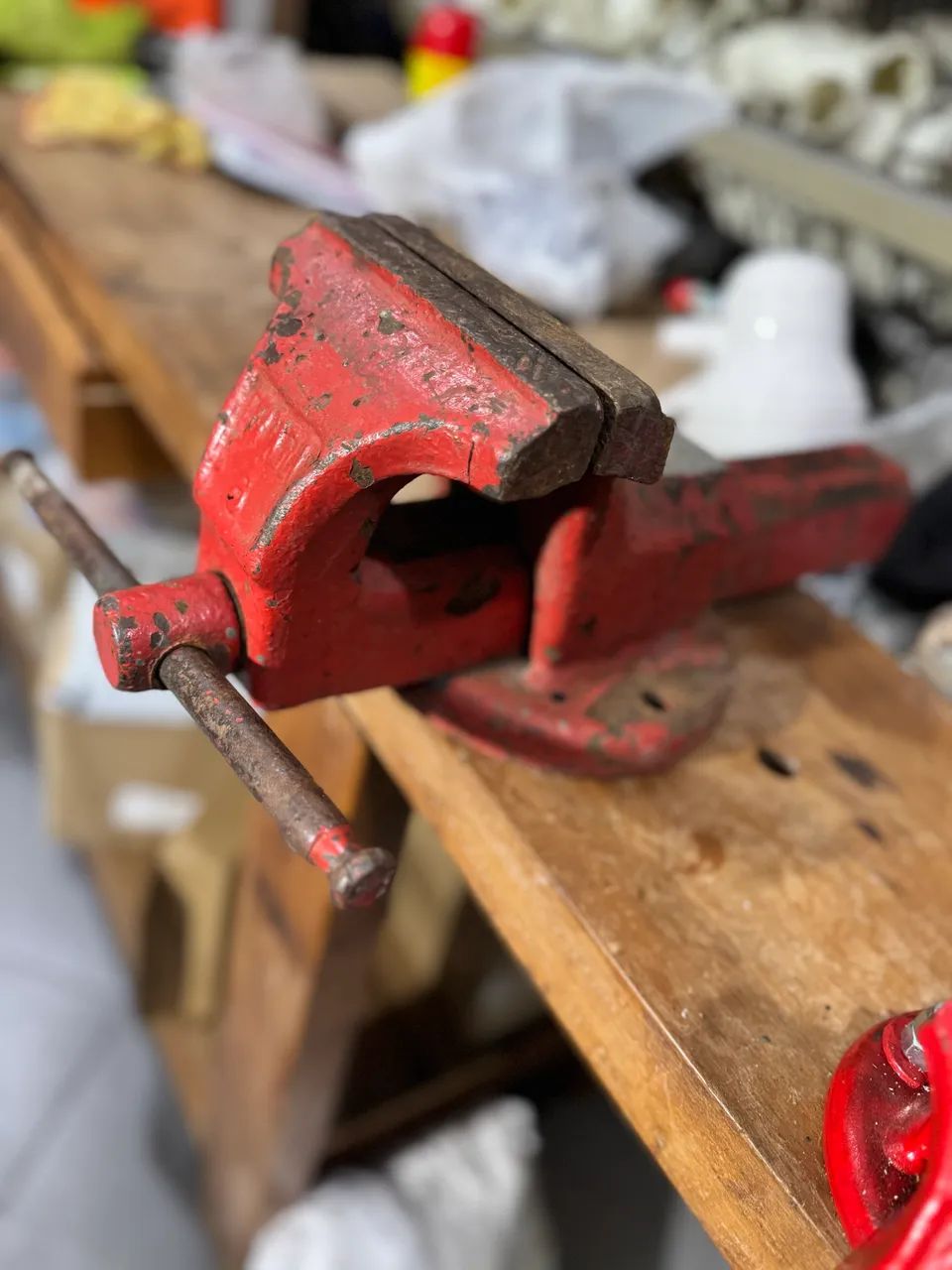 Morsa N 664985883896833122