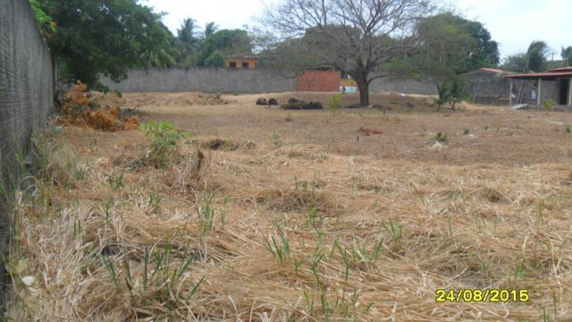 Terreno no Panaquatira - Foto 6
