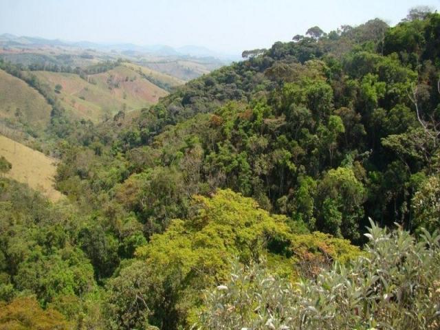 Fazenda, venda ou permuta - Foto 10