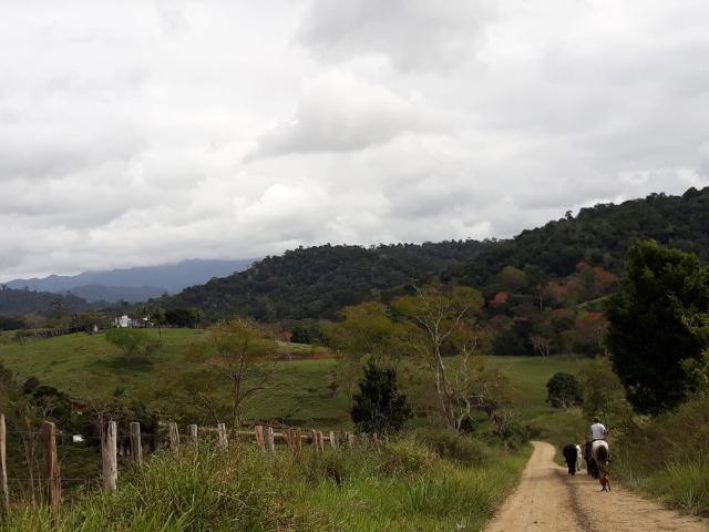 Fazenda em Camacã - Foto 14