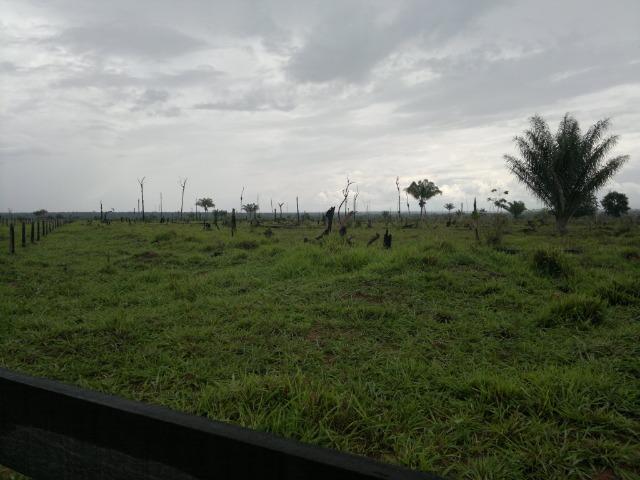 Fazenda para arrendamento de soja - Foto 6