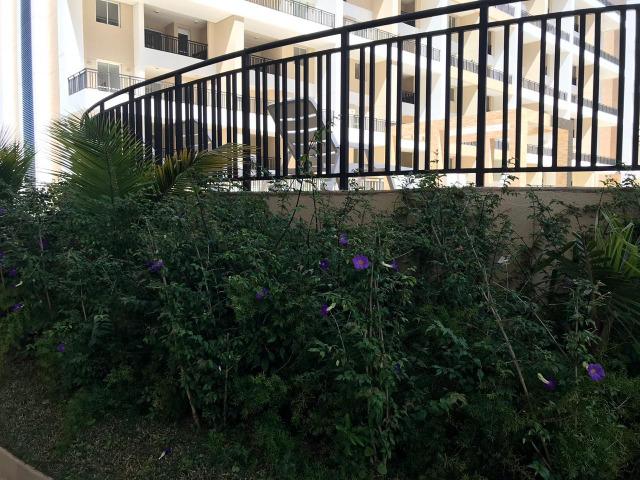 Apartamento de 1qto em Taguatinga, localização privilegiada! Com todas as taxas grátis - Foto 11