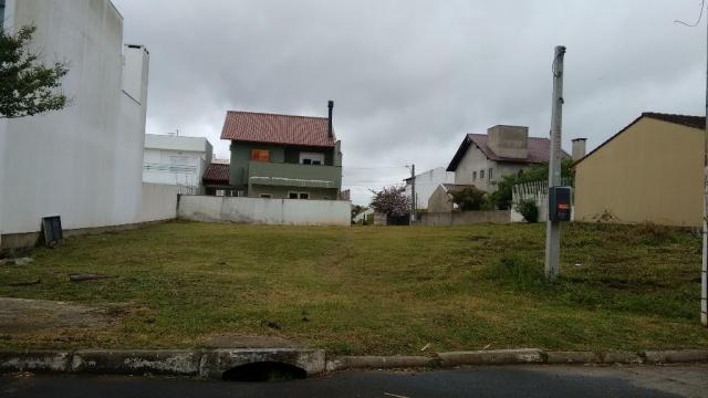 Terreno residencial à venda, Protásio Alves, Porto Alegre. - Foto 2