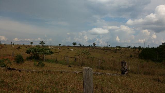 Fazenda para arrendamento de soja - Foto 7