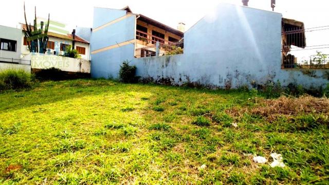 Terreno, Protásio Alves, Porto Alegre-RS - Foto 2