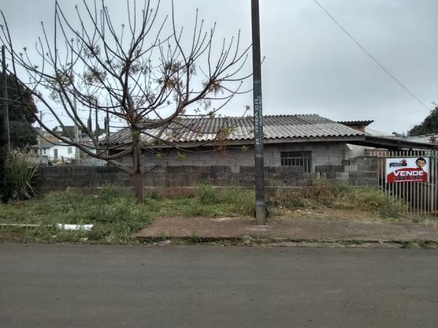 8287 | terreno à venda em morro alto, guarapuava - Foto 4