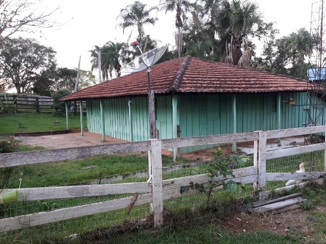 Fazenda c/ 508he c/ 330he Formados, 28km de Alto Araguaia-MT - Foto 13