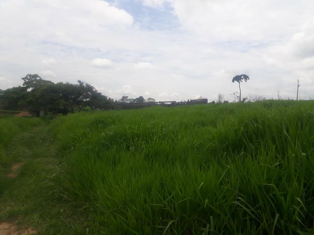 Colônia - Foto 6