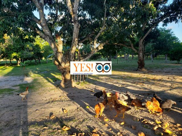Fazenda em Humildes 95.832m2 - Foto 11
