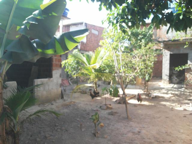 Casa pra vender - Foto 3