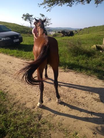 Vendo ou troco - Foto 4