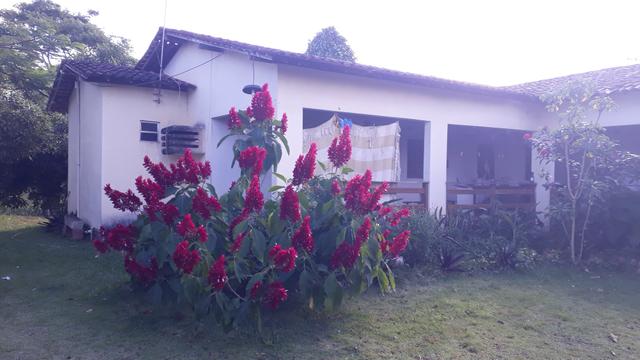 Sitio em paudalho - Foto 5