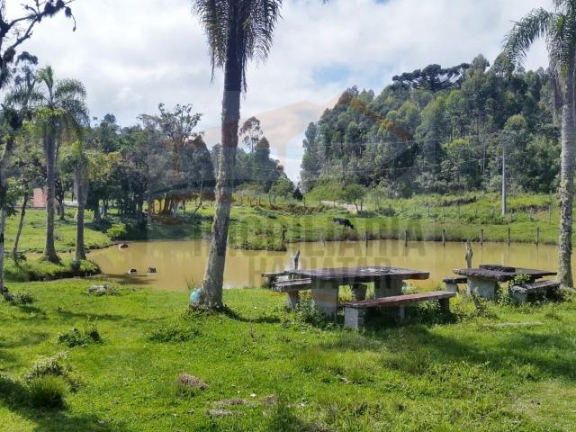 Fazenda no Taquari, Bocaiuva do Sul/PR - Foto 2