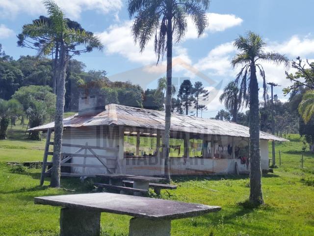 Fazenda no Taquari, Bocaiuva do Sul/PR - Foto 5