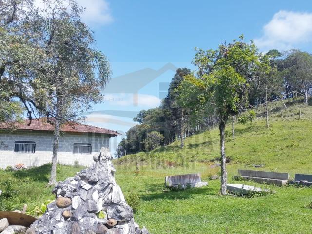 Fazenda no Taquari, Bocaiuva do Sul/PR - Foto 10