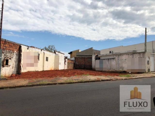 Terreno, 200 m² - Novo Jardim Pagani - Bauru/SP - Foto 2