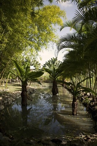 Condomínio Pedra Verde Maricá - Venha morar cercado da natureza! - Foto 2