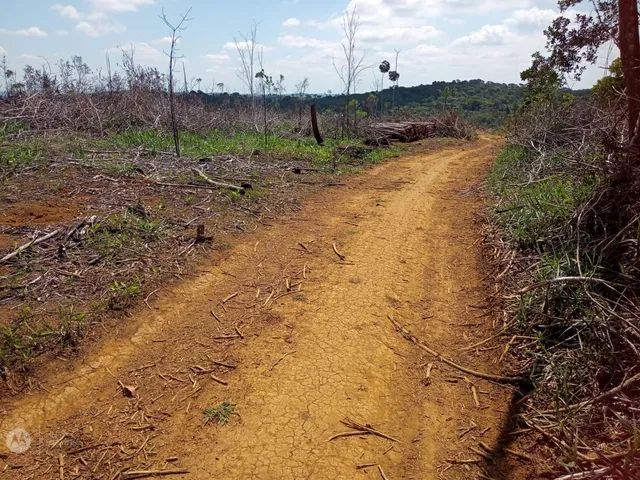 Vendo fazenda em Valença  - Foto 5
