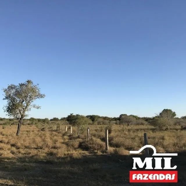 Fazenda 1.465 Alq. (7.069 Há) Cocalinho - Mato Grosso - Foto 2