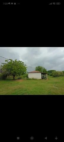 Lote de irrigação em Produção em Petrolina! - Foto 5