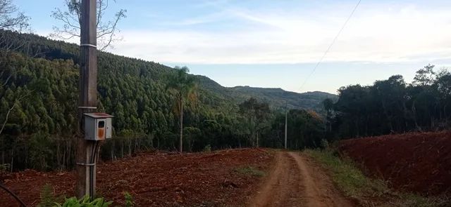 Chácara 4 HA Valor 195,000,00 avista com arroio  - Foto 3