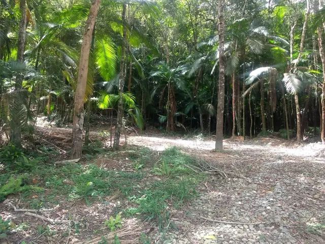 Terreno com cachoeira medindo 2 hectares  - Foto 8