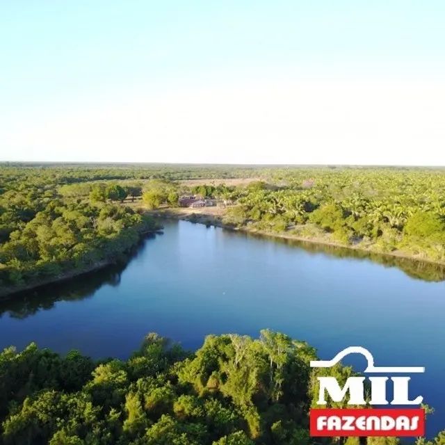 Fazenda 1.465 Alq. (7.069 Há) Cocalinho - Mato Grosso