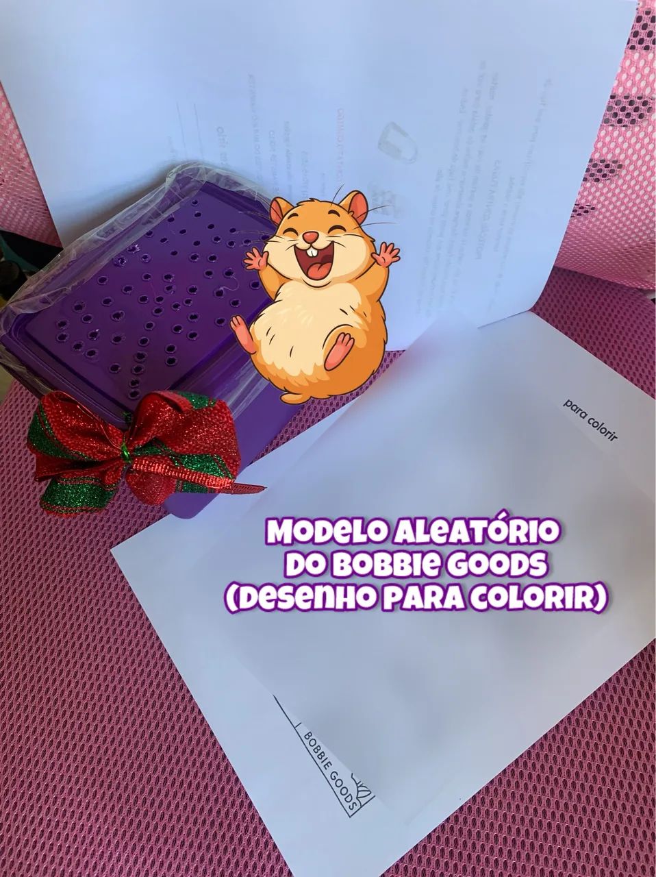 Hamsters sírios fêmea - Foto 4