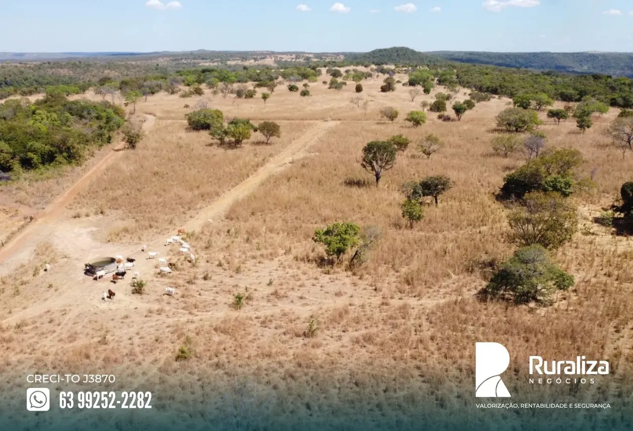 Fazenda próxima a Palmas, 18 km do asfalto, altitude média de 500 metros.