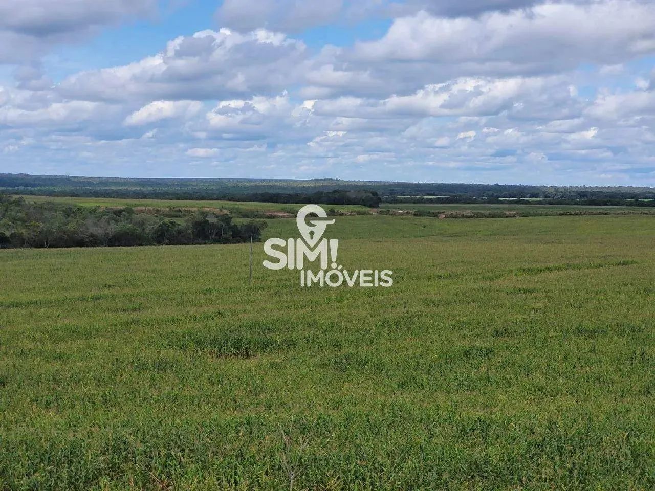 OPORTUNIDADE ÚNICA, FAZENDA TODA FORMADA EM PEDRO AFONSO! - Foto 2