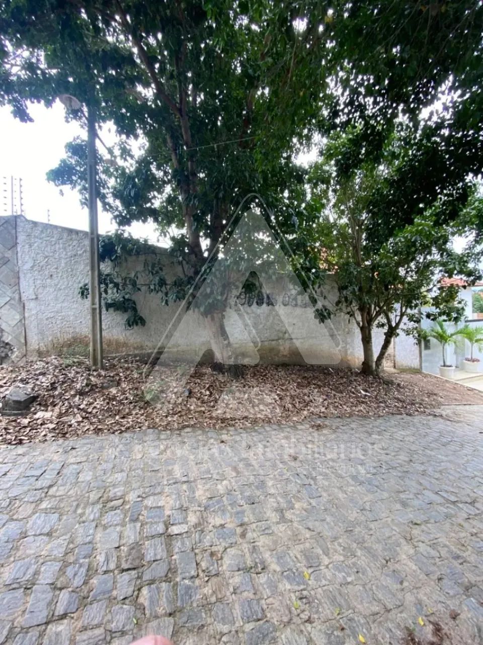 Lote no Juracy Palhano - Foto 2