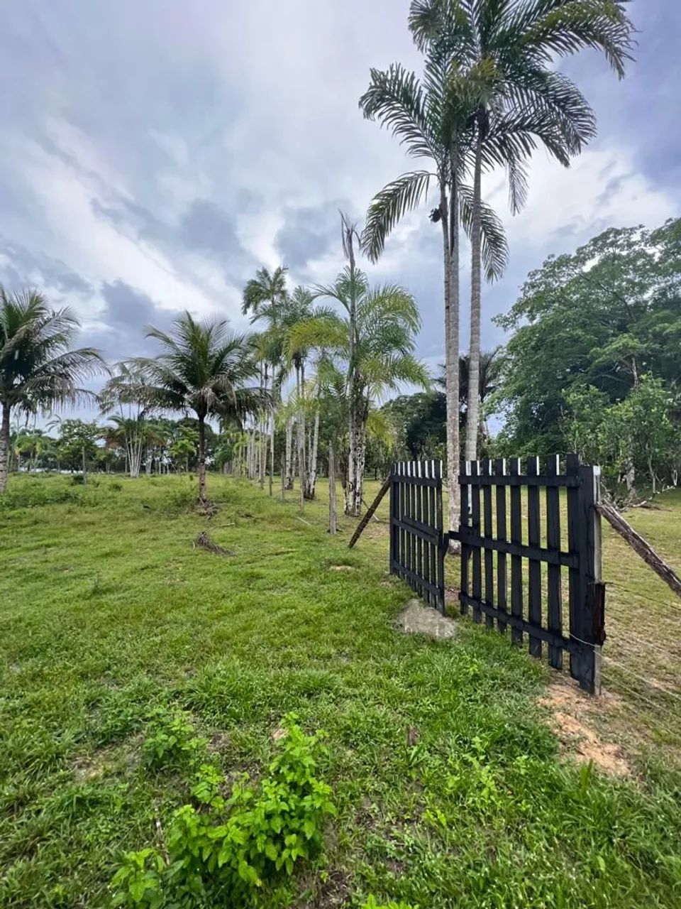 Sítio na AM-010, totalmente equipada R$ 850mil - Foto 4