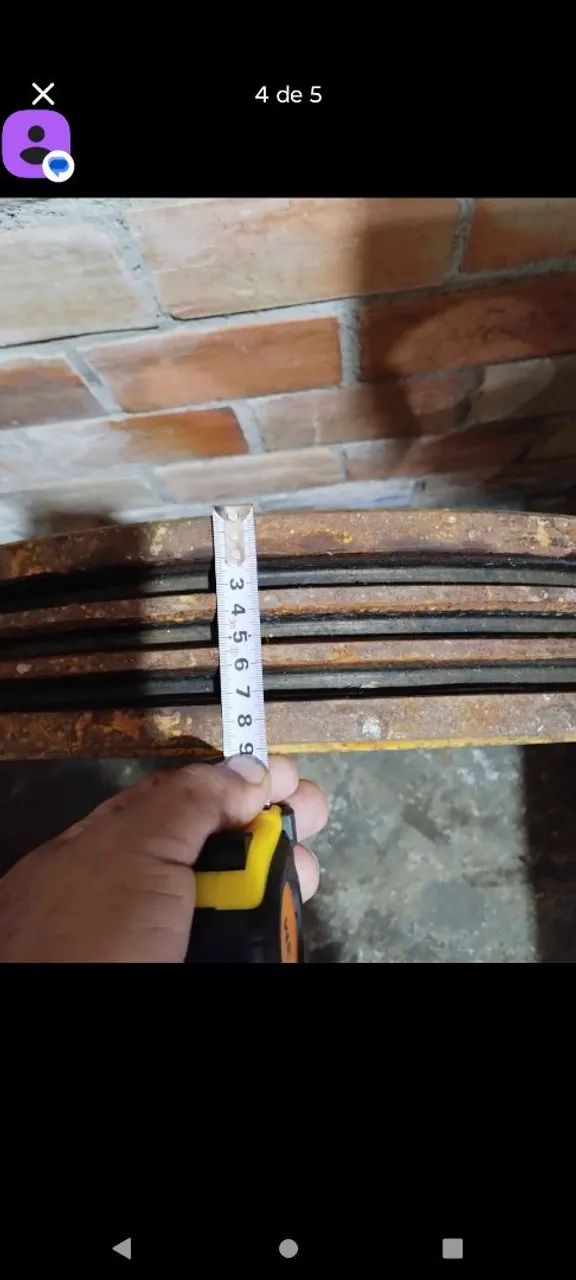 Polia torro  - Foto 3