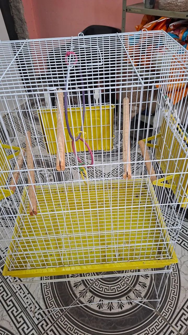 Gaiola grande - Foto 4